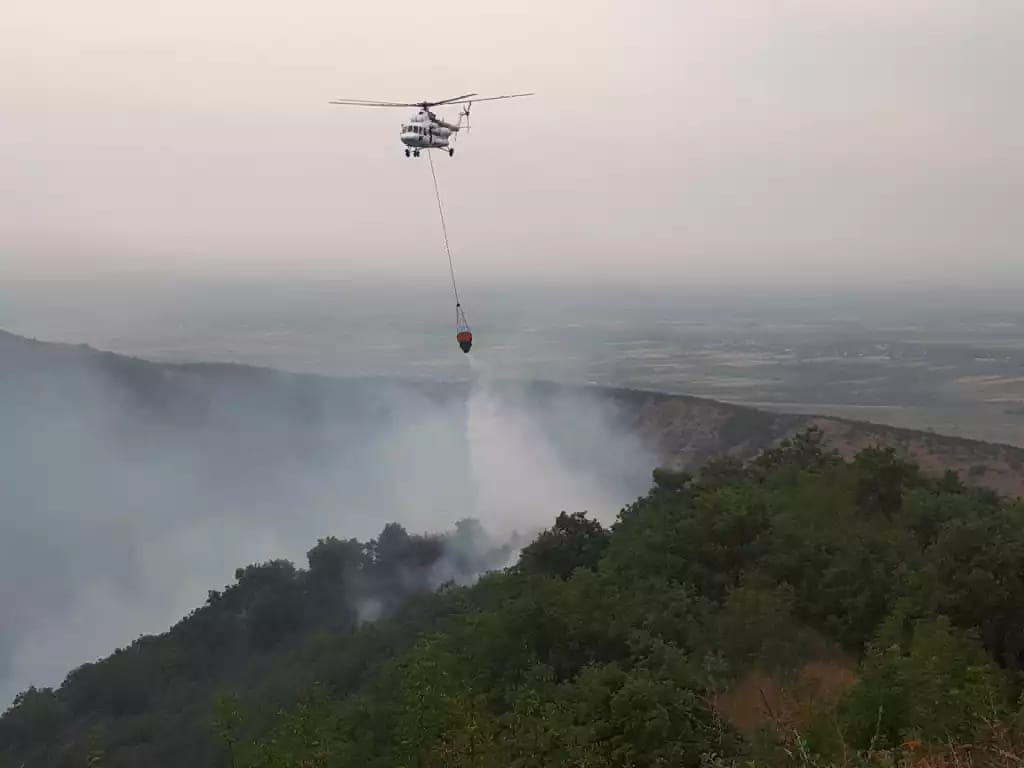 Ağsu və Şamaxıda yanan meşə belə söndürülür -  FOTOLAR